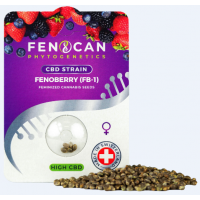 FENOCAN Fenoberry CBD Graines de chanvre (3 pcs) 
