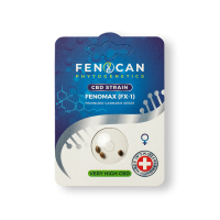 FENOCAN Fenomax CBD Hemp Seeds (3 pcs)
